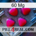 60 Mg 13